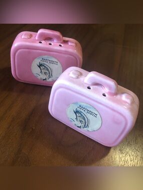 Vintage Dartmouth Nova Scotia Pink Ceramic Salt & Pepper Shaker Set – 70s